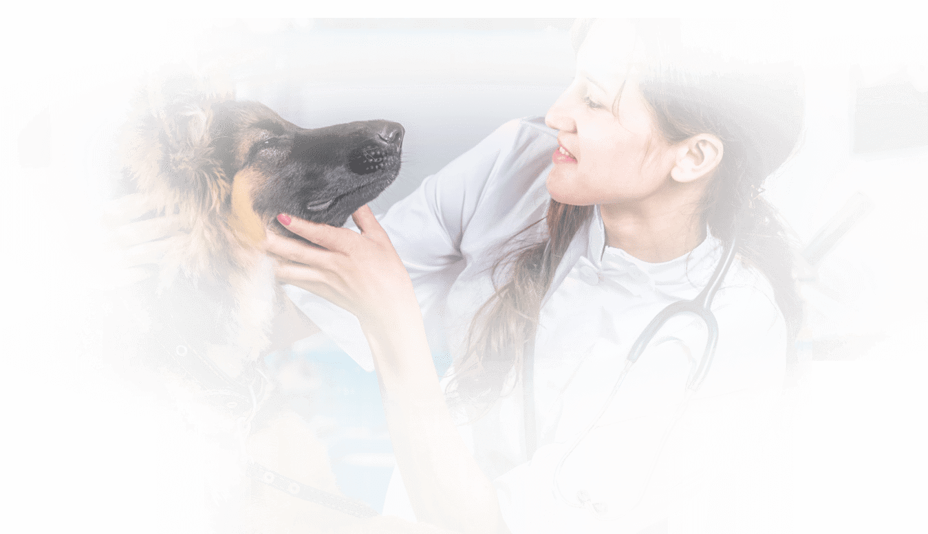 dr-ric-berlinski – Noah's Ark Animal Clinics