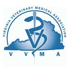 VVMA