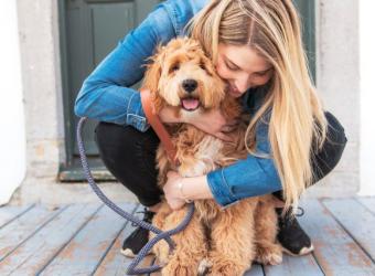 Addison's Disease in Dogs: What Every Pet Parent Should Know