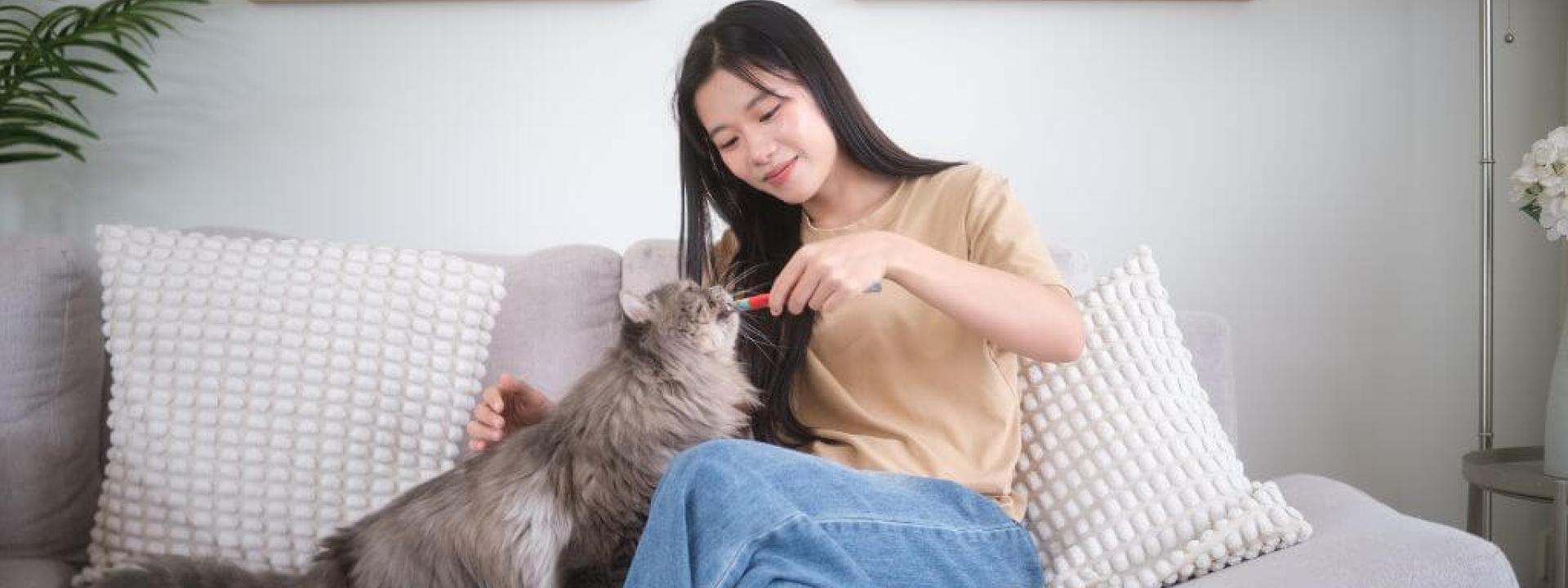 Young woman sitting on the couch giving her cat a treat