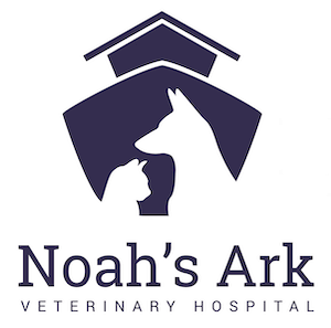 Noah's Ark Veterinary Hospital - Williamsburg Veterinarians