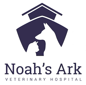 Noah's Ark Veterinary Hospital